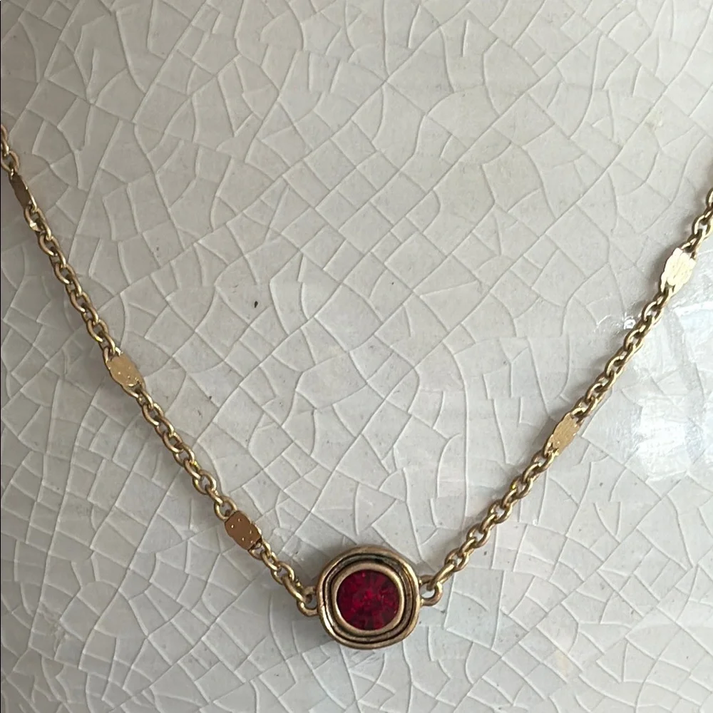 The Sak Gold and Ruby Red Crystal Station Necklace Minimalist Design